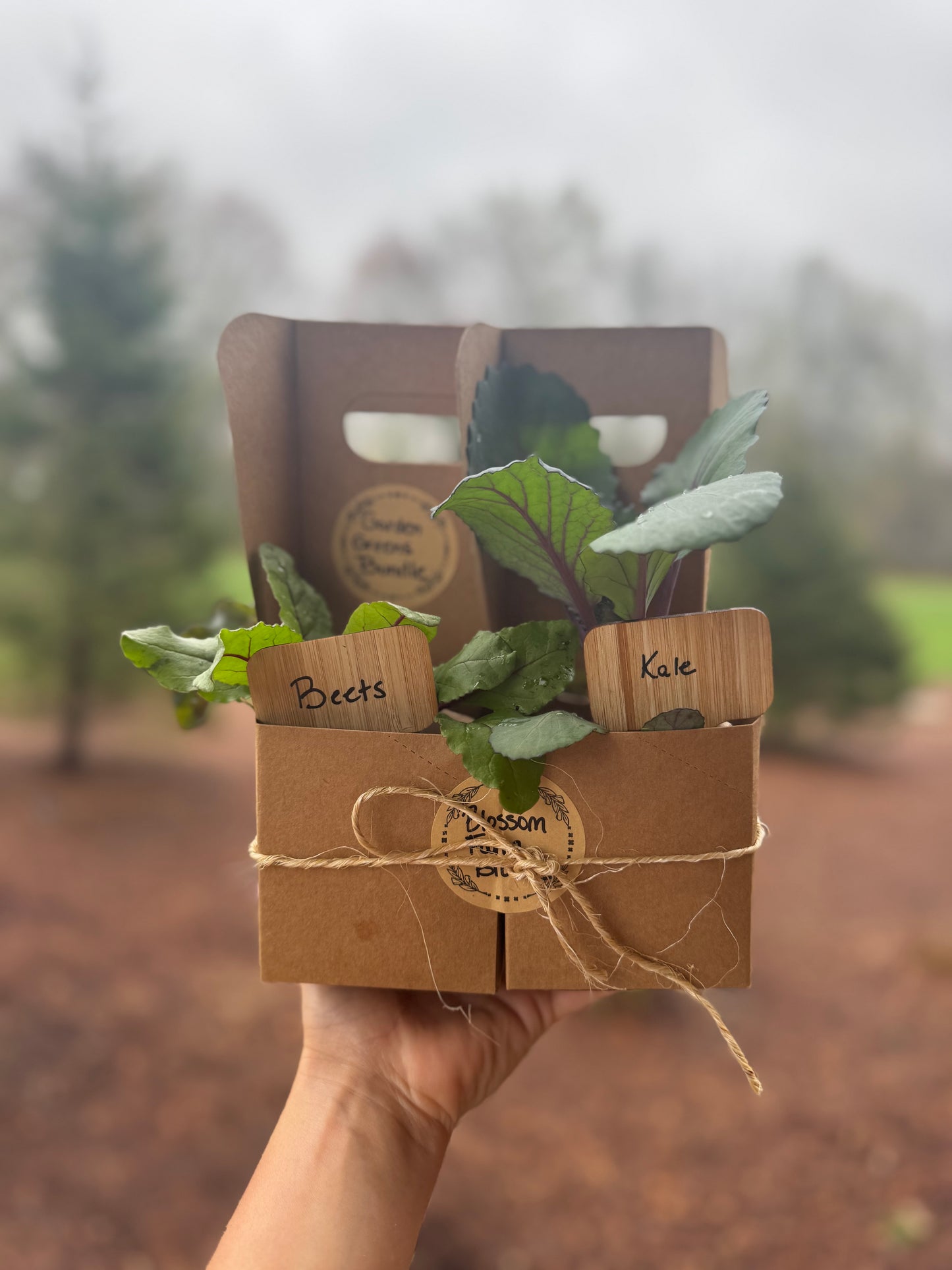 Garden Greens Bundle