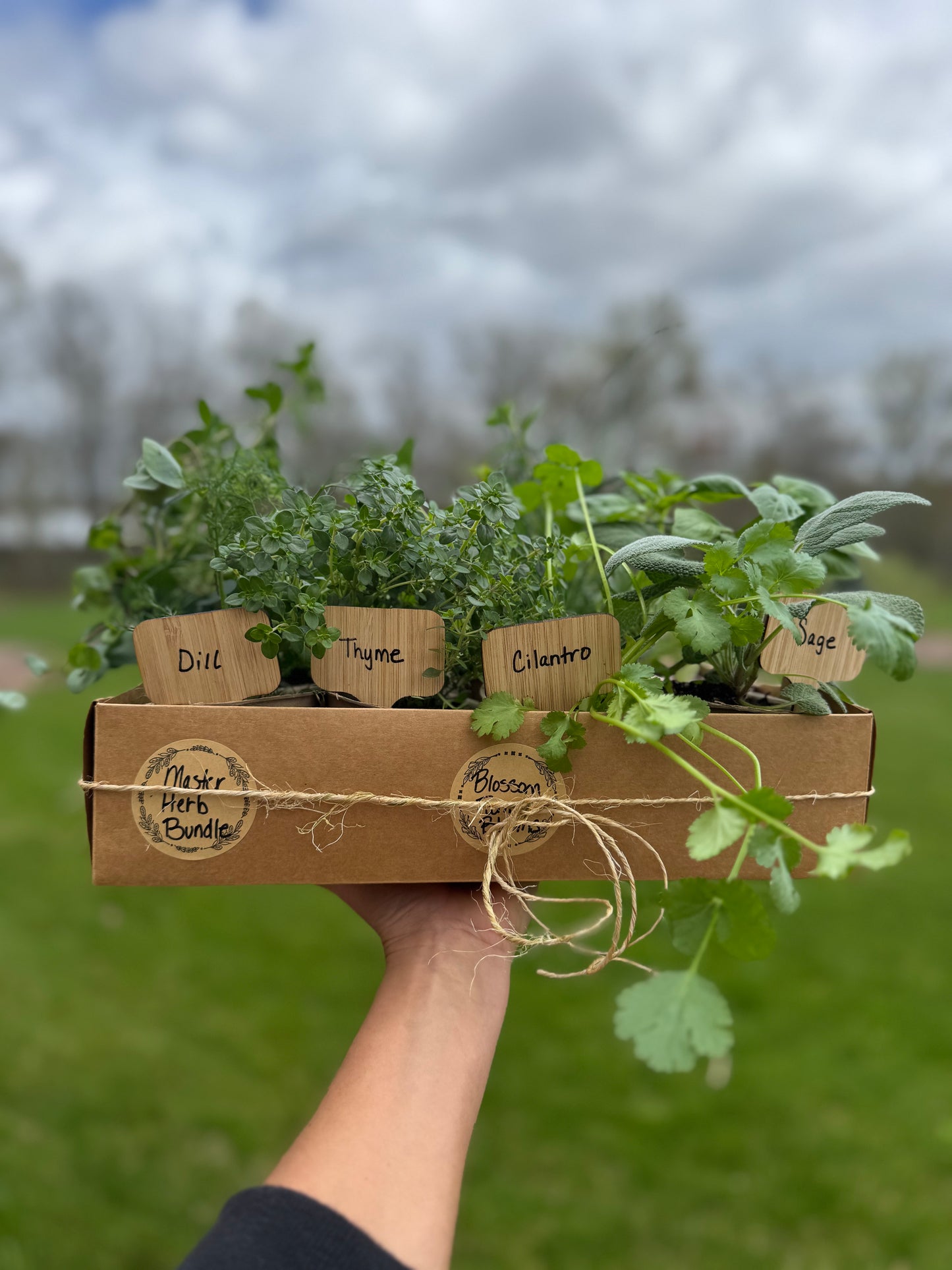 Master Herb Garden Bundle