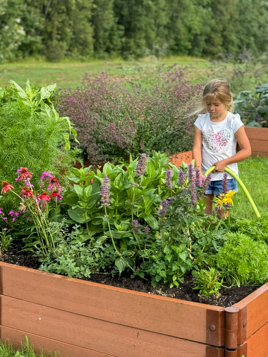 How To Start A Vegetable Garden (And Why Soil Is Everything)