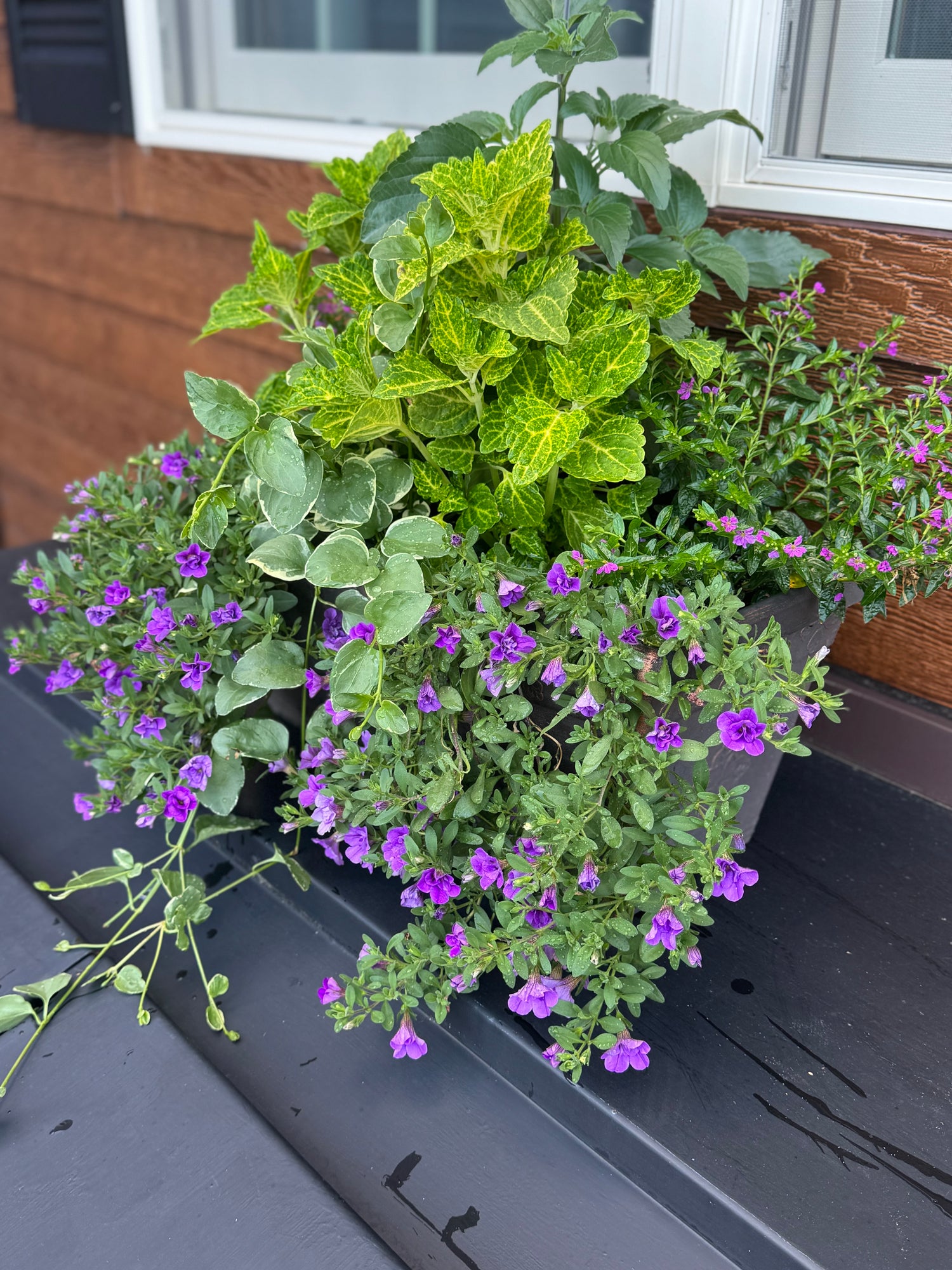 Seasonal Porch Subscriptions