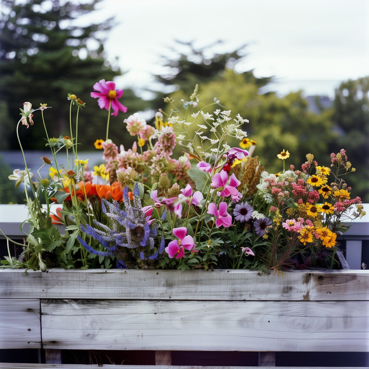 Local Flowers