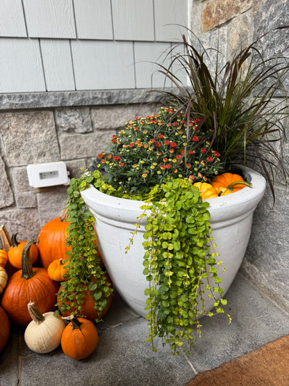 Porch It Pretty - Seasonal Subscription