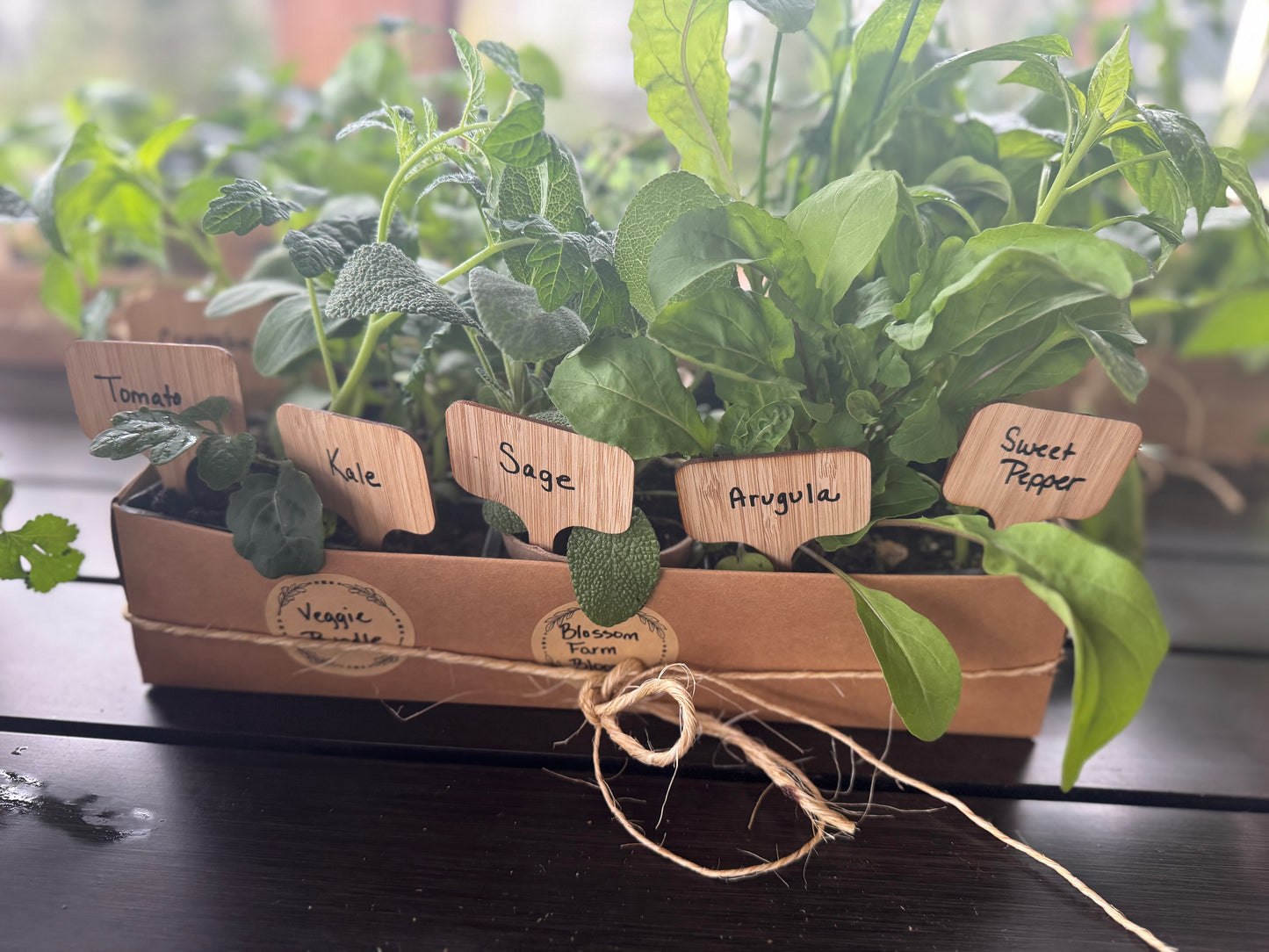 Beginner Veggie Bundle