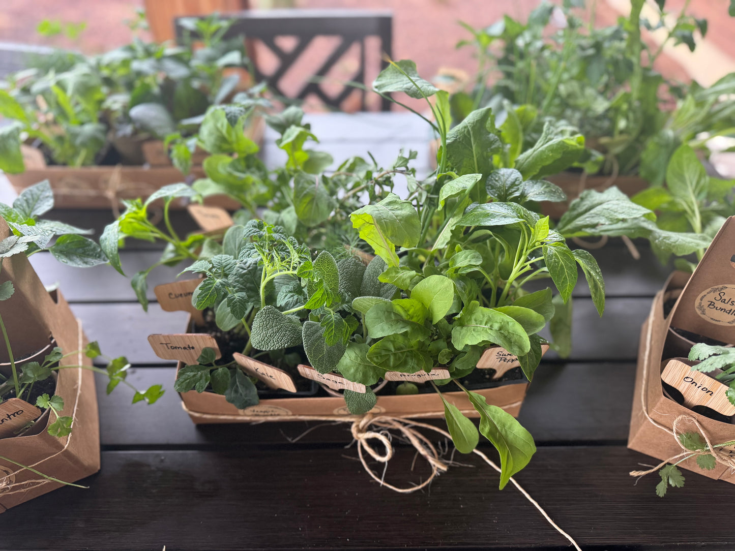 Beginner Veggie Bundle