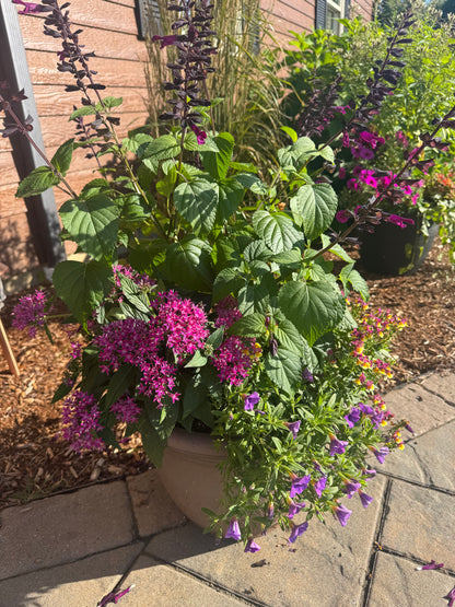 Porch It Pretty - Seasonal Subscription