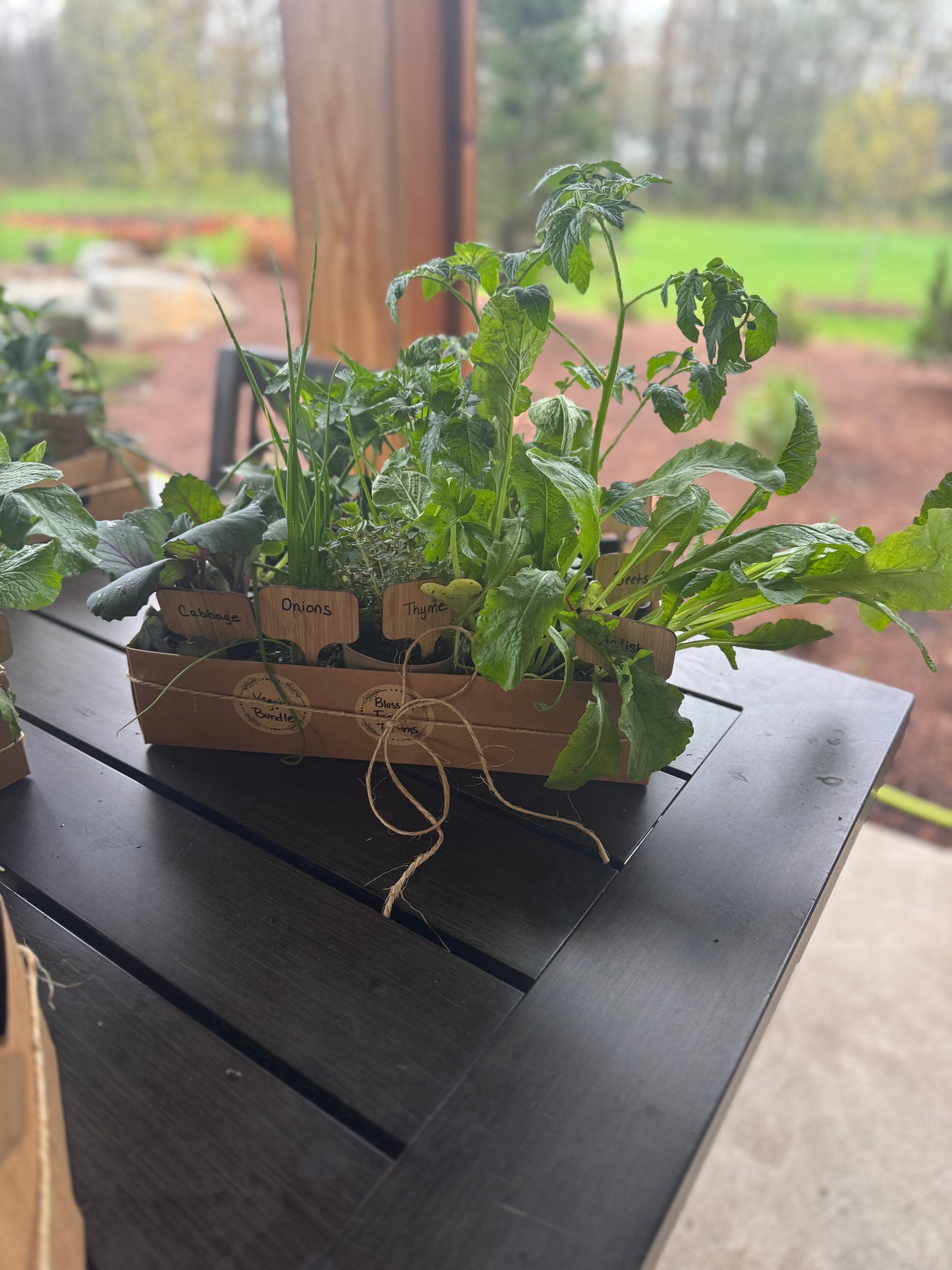 Beginner Veggie Bundle