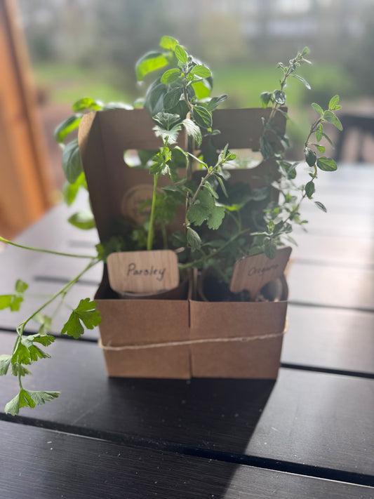 Herb Bundle