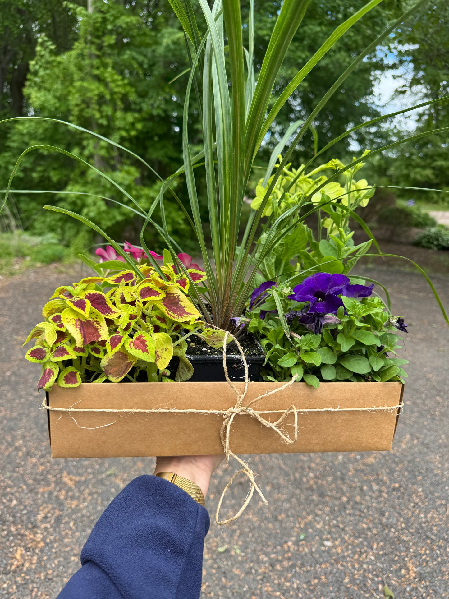 Porch It Pretty Bundle
