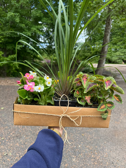 Porch It Pretty Bundle