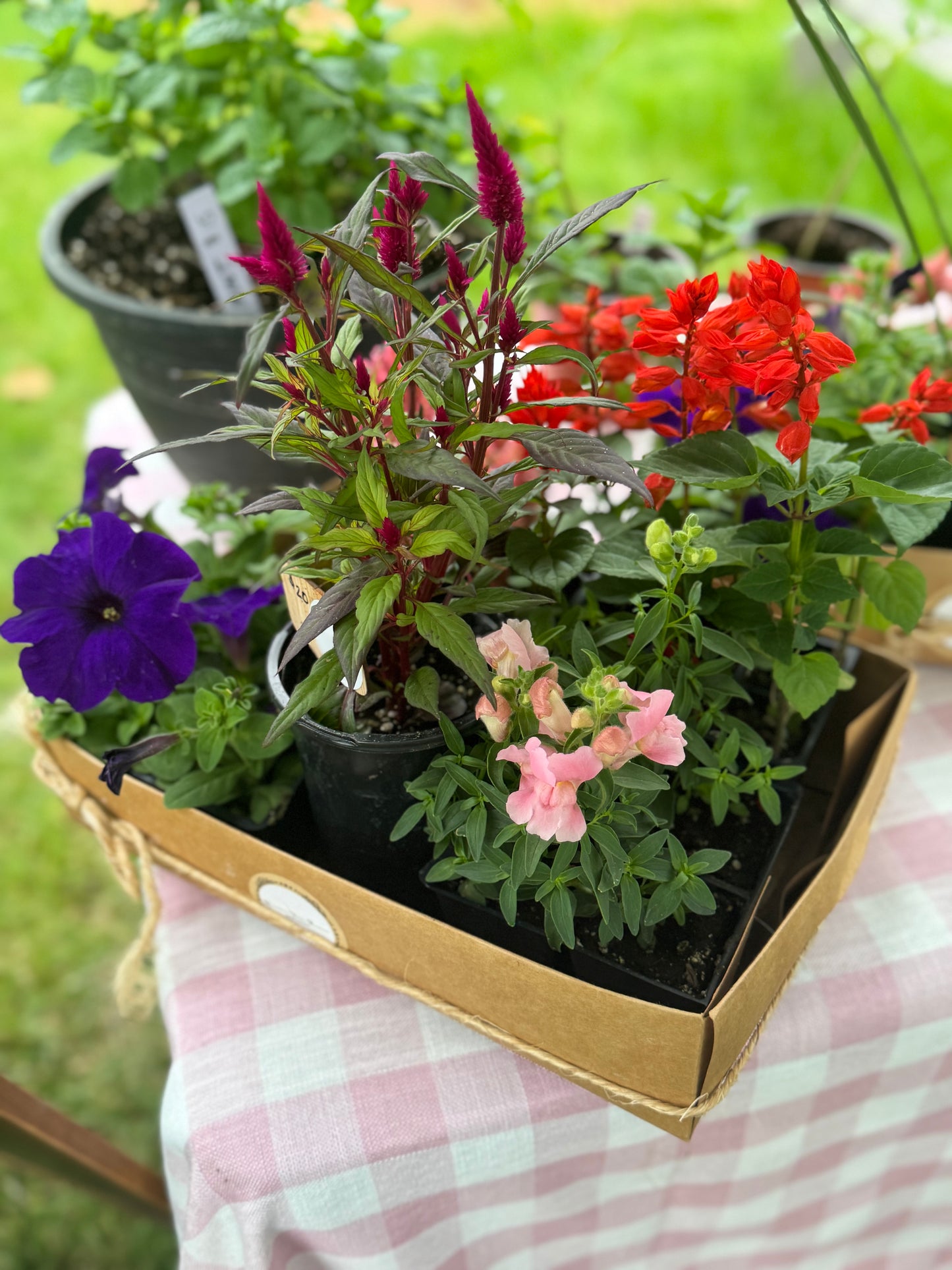 Porch It Pretty Bundle